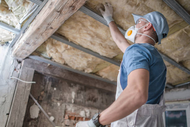 Best Commercial Insulation in Osprey, FL