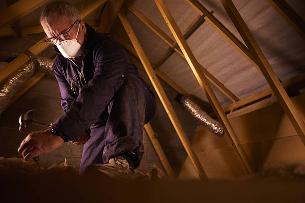 Best Fiberglass Insulation in Osprey, FL